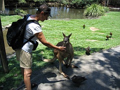 CairnsTC289 Wildlife Habitat